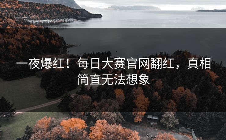 一夜爆红！每日大赛官网翻红，真相简直无法想象