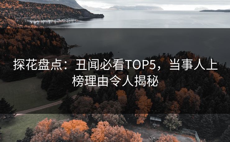 探花盘点：丑闻必看TOP5，当事人上榜理由令人揭秘