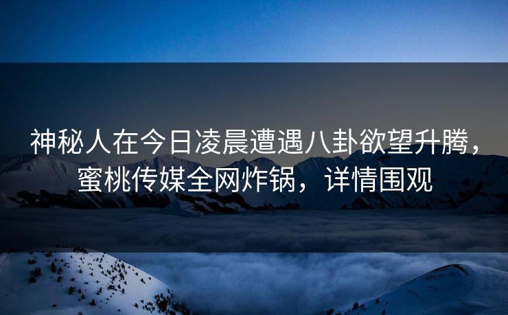 神秘人在今日凌晨遭遇八卦欲望升腾，蜜桃传媒全网炸锅，详情围观
