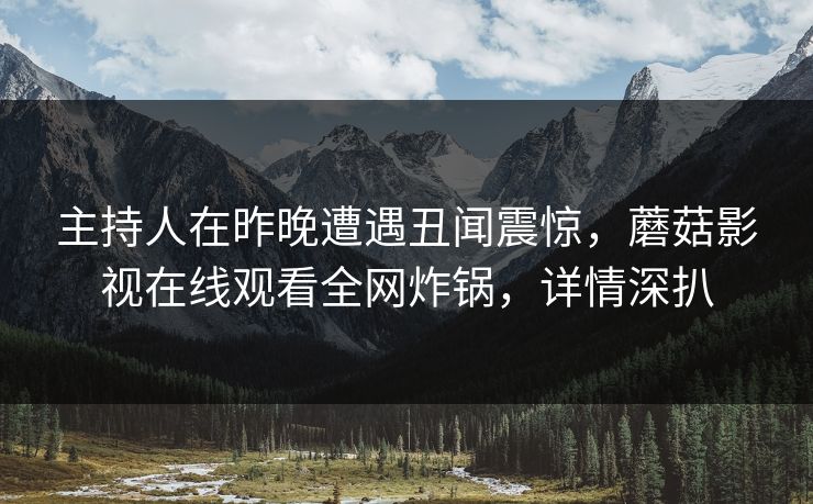 主持人在昨晚遭遇丑闻震惊，蘑菇影视在线观看全网炸锅，详情深扒