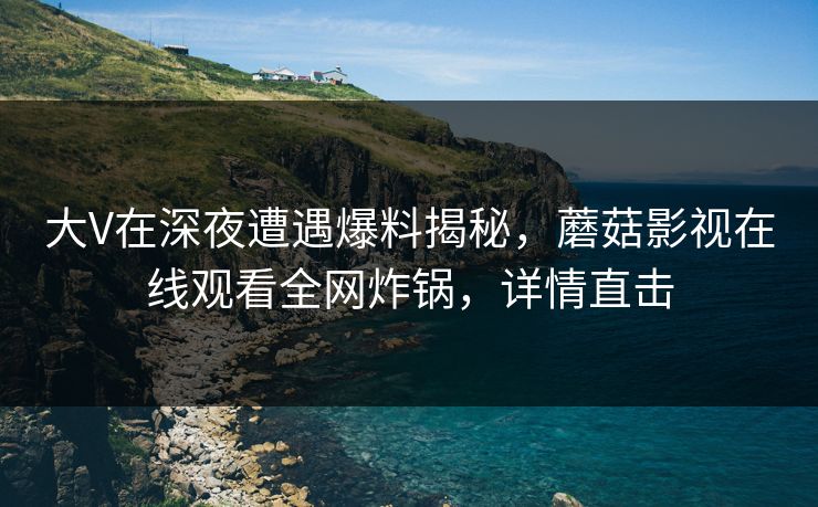 大V在深夜遭遇爆料揭秘，蘑菇影视在线观看全网炸锅，详情直击