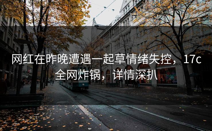 网红在昨晚遭遇一起草情绪失控，17c全网炸锅，详情深扒